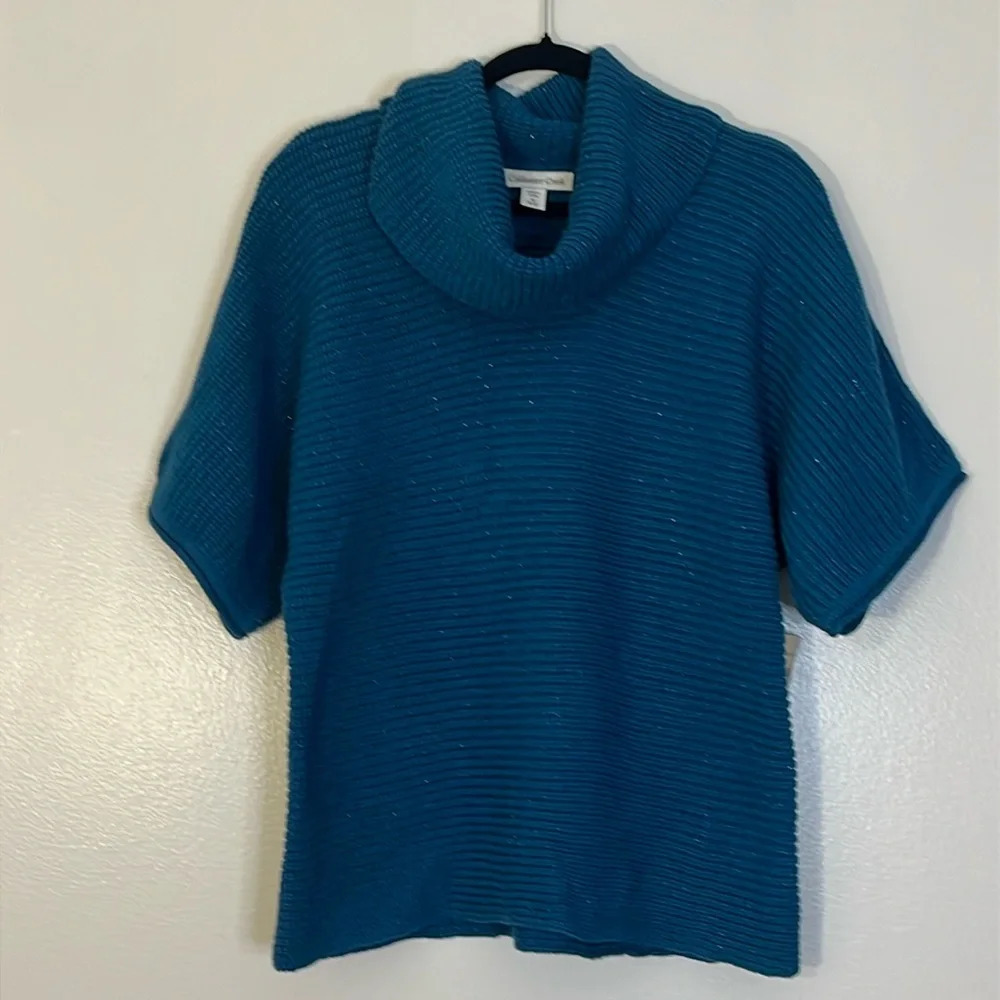 Coldwater Creek | New Hint of Glimmer sparkly sweater Womens size M 10/12 dolman